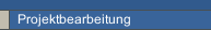 Projektbearbeitung