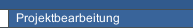 Projektbearbeitung